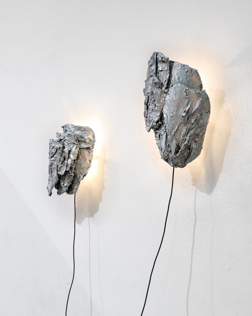 Protoplasting-Nature:-03-(PN2003)