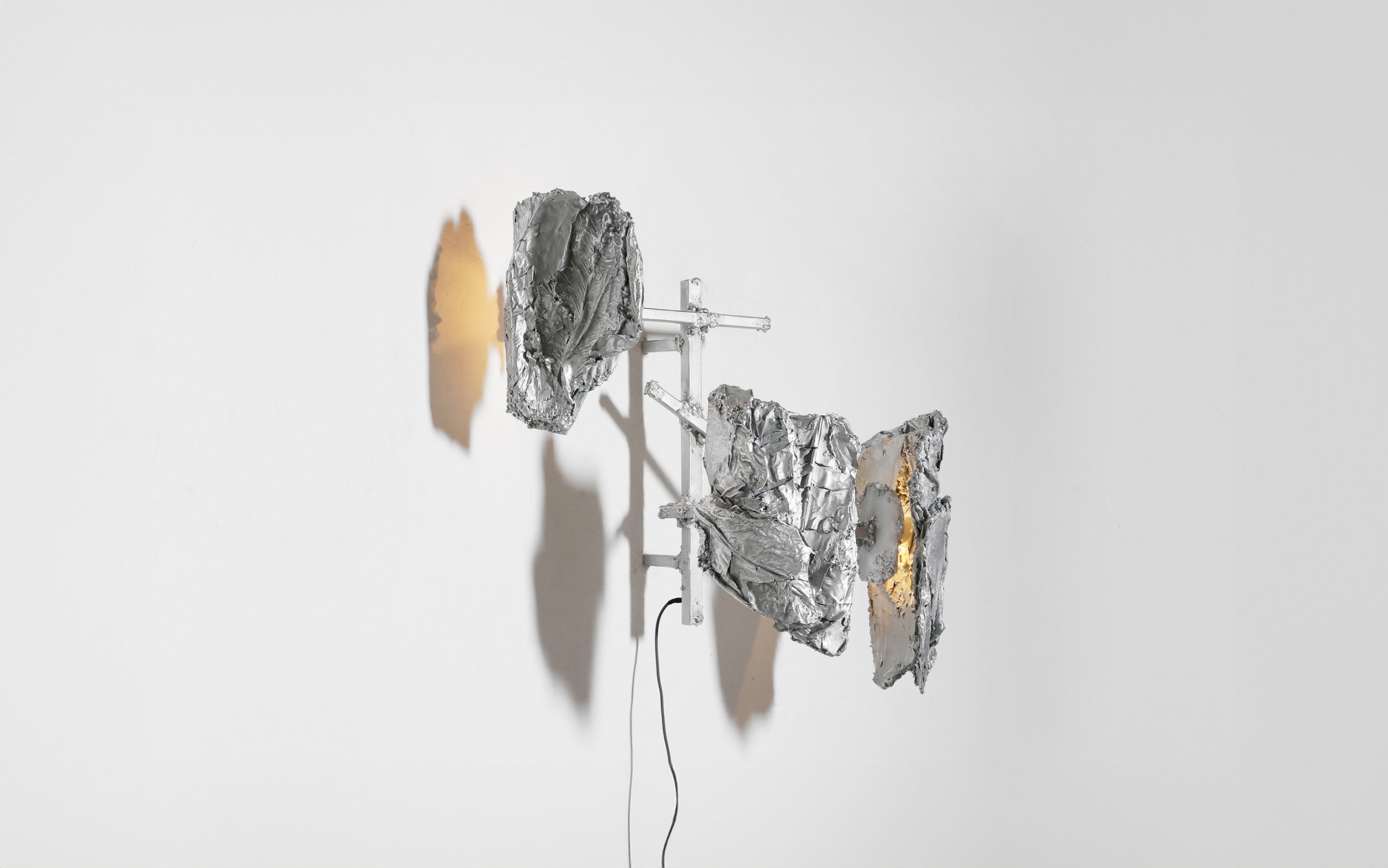Protoplasting Nature: 02 (PN2002)