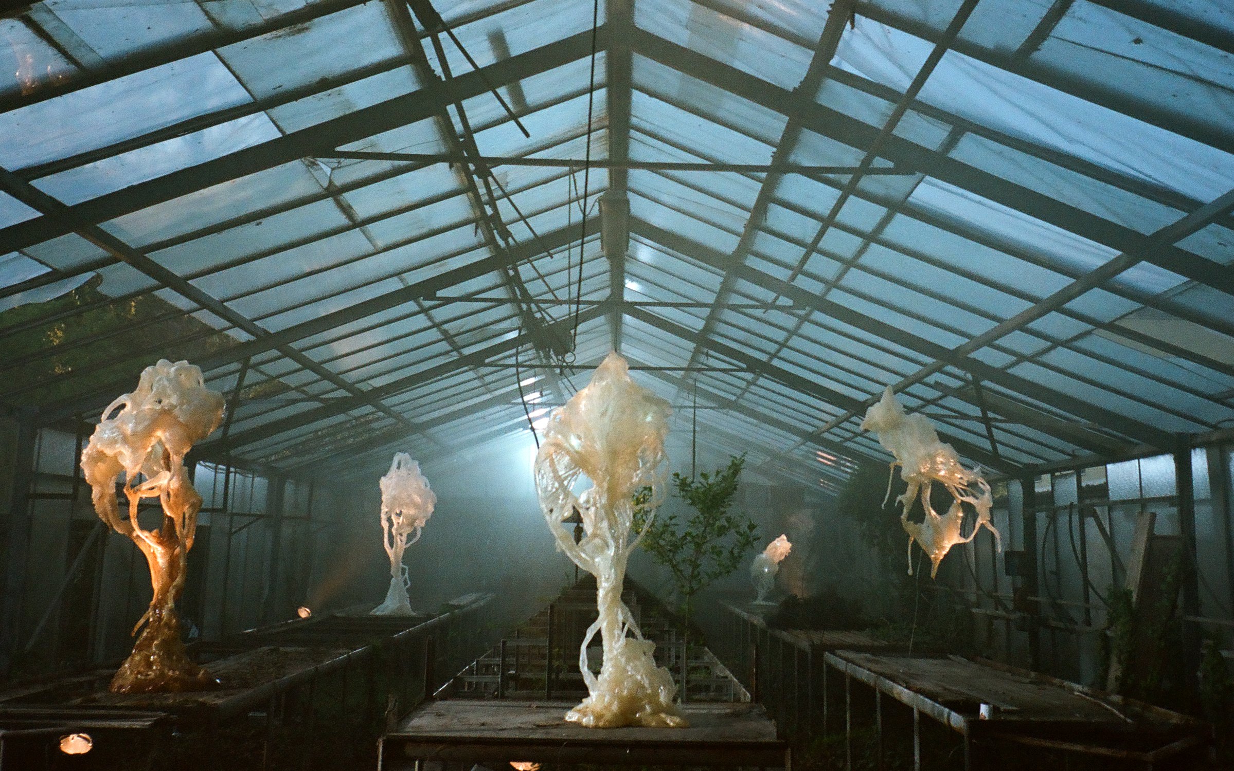 Ghost_Orchid_02_Marcin_Rusak_Studio_Milan_2025.jpg