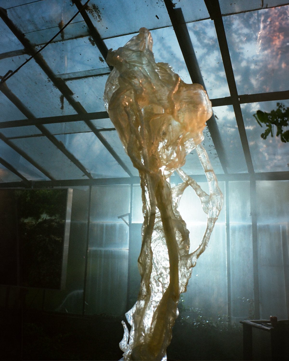 Ghost_Orchid_03_Marcin_Rusak_Studio_Milan_2025.jpg