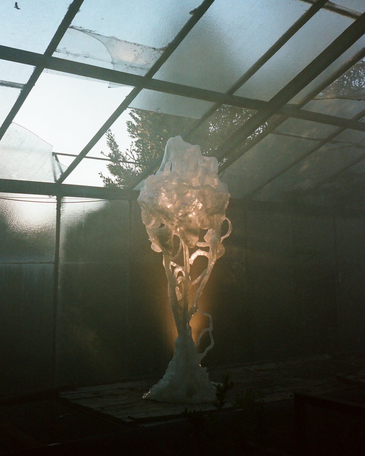 Ghost_Orchid_04_Marcin_Rusak_Studio_Milan_2025.jpg