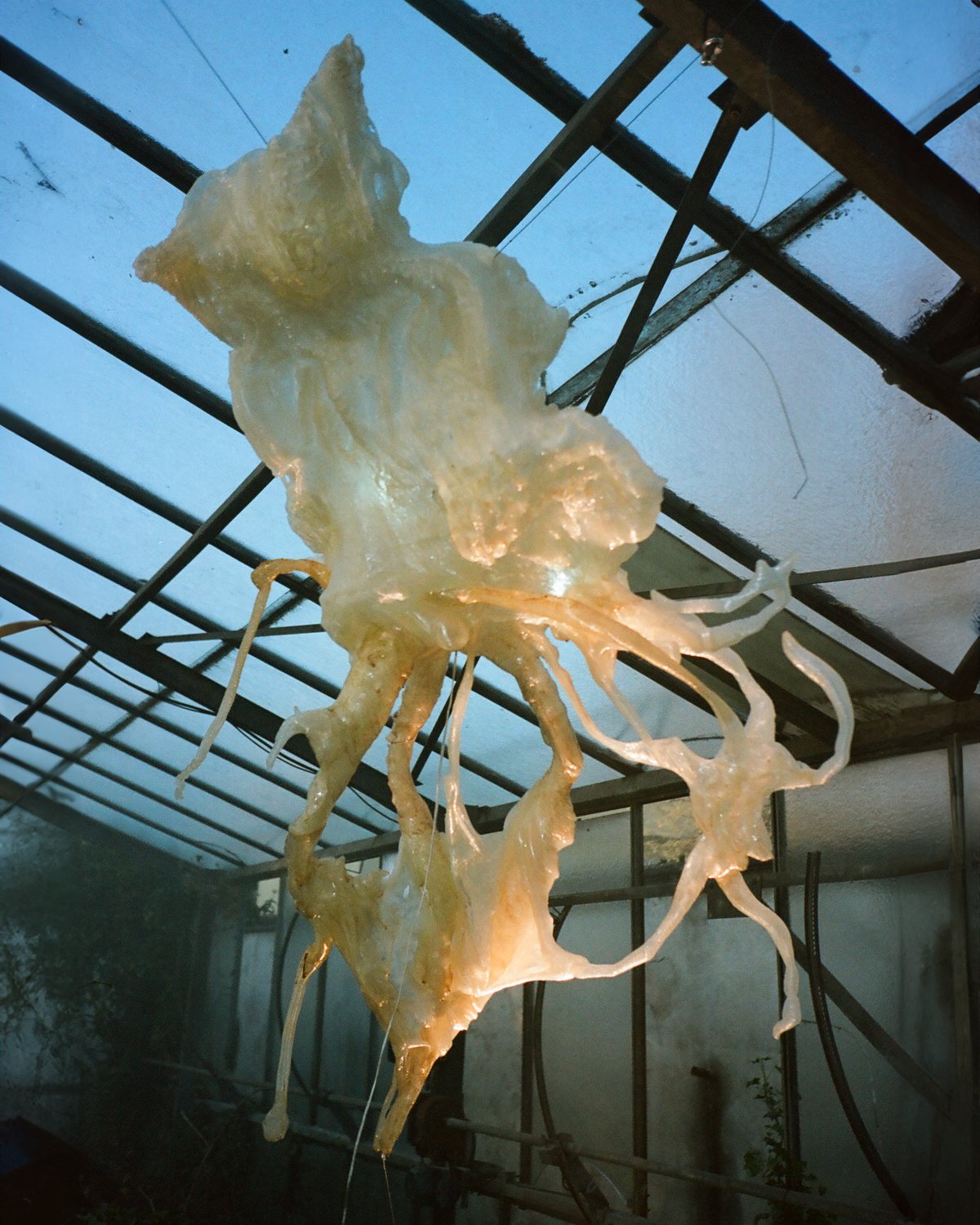 Ghost_Orchid_06_Marcin_Rusak_Studio_Milan_2025.jpg