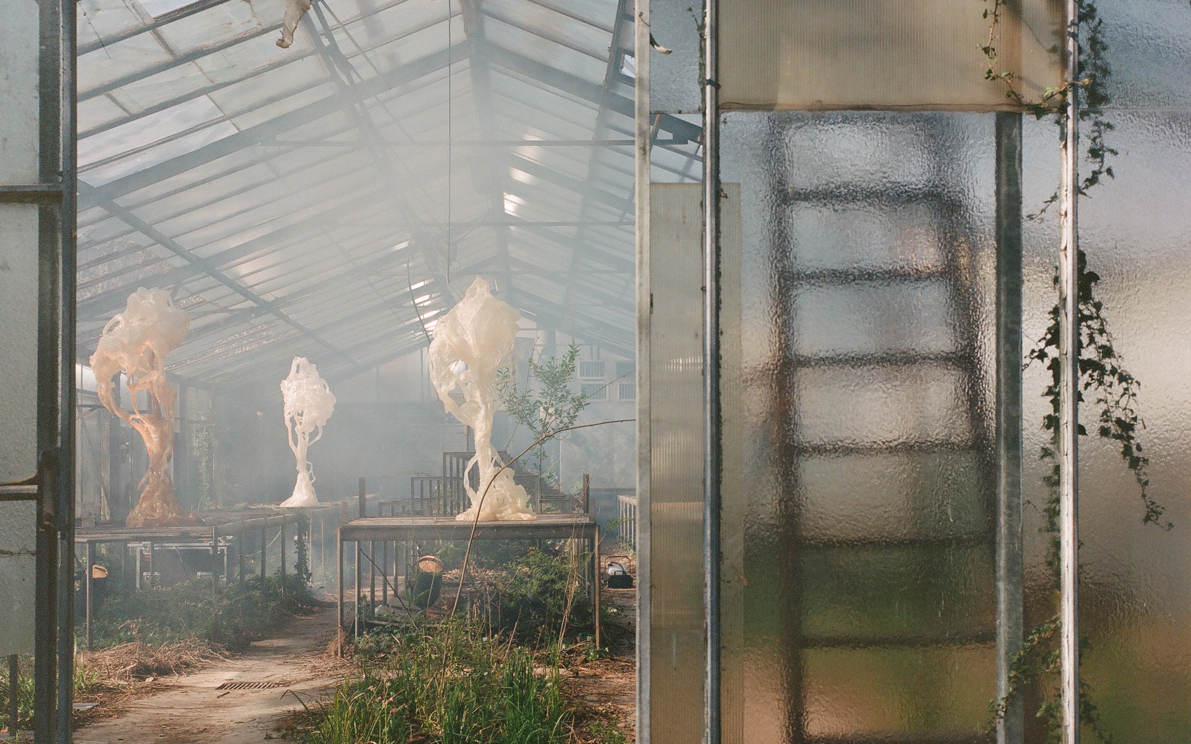 Ghost_Orchid_16_Marcin_Rusak_Studio_Milan_2025.jpg