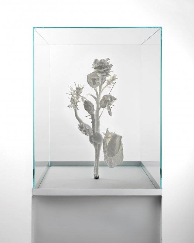 Monster-Flower:-01-(FT1401)