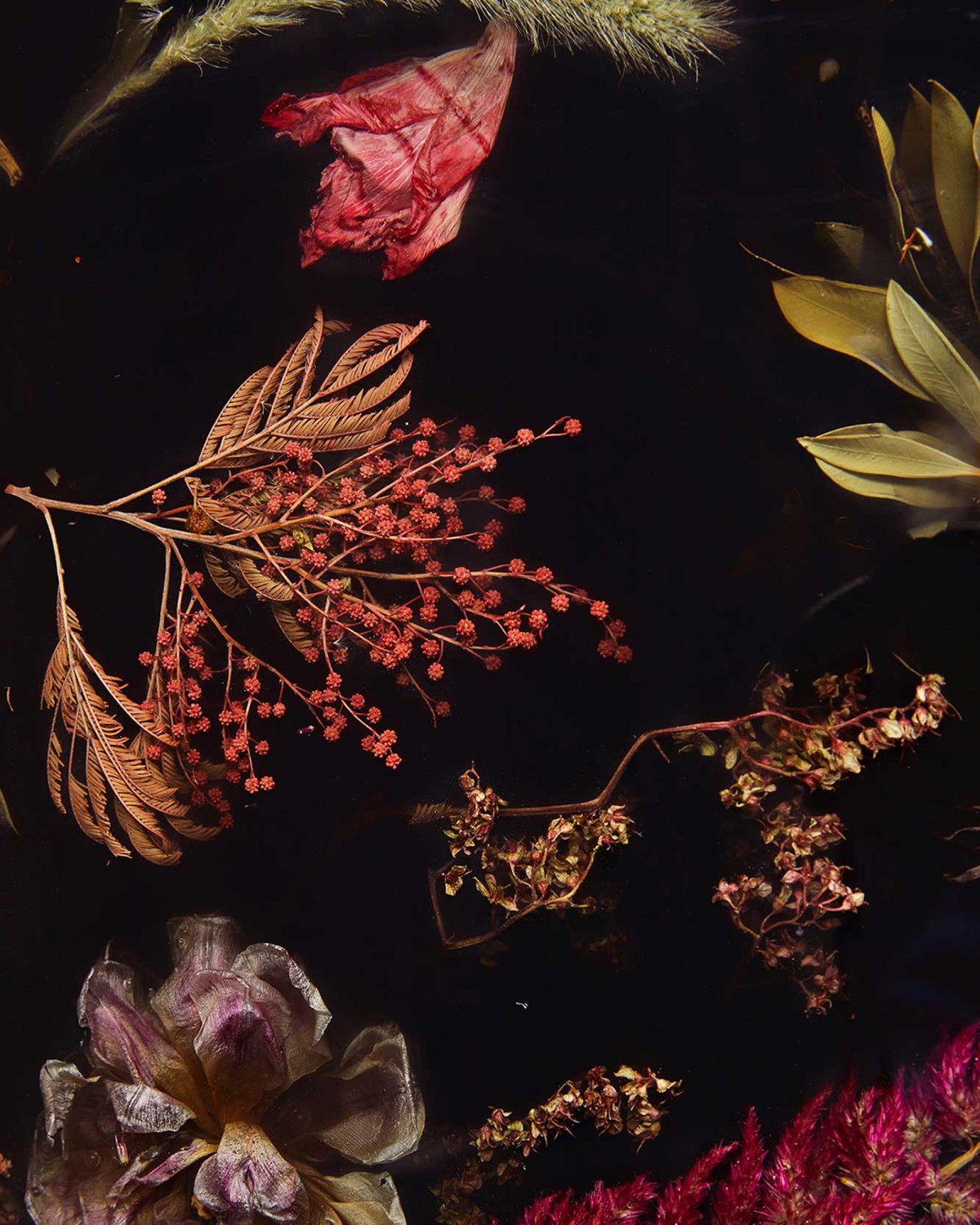 Flora_Cabinet_140_by_Marcin_Rusak_Studio_04.jpg