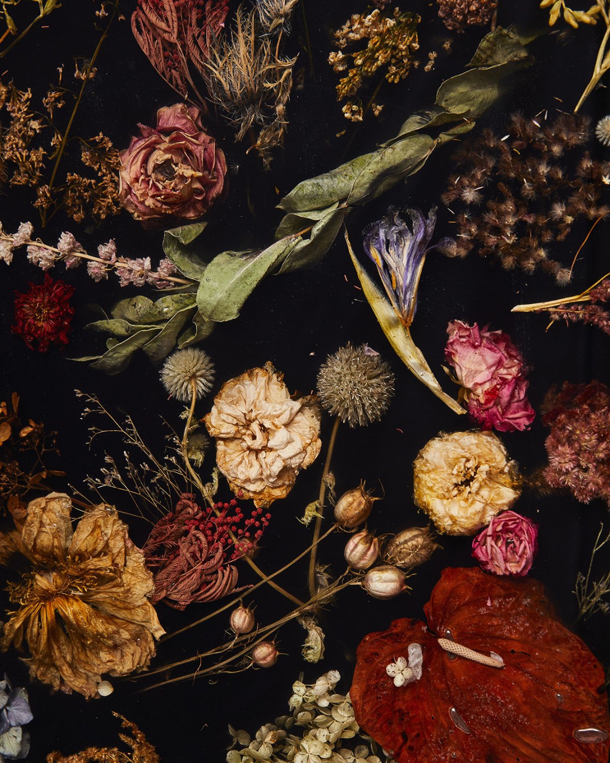 Flora_Cabinet_176_by_Marcin_Rusak_Studio_06.jpg