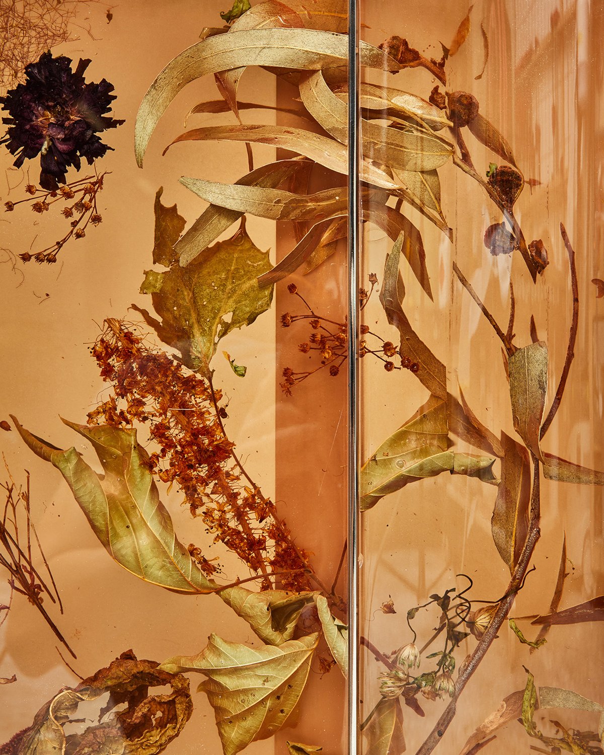 Flora_Cabinet_190_Clear_Amber_by_Marcin_Rusak_Studio_03.jpg