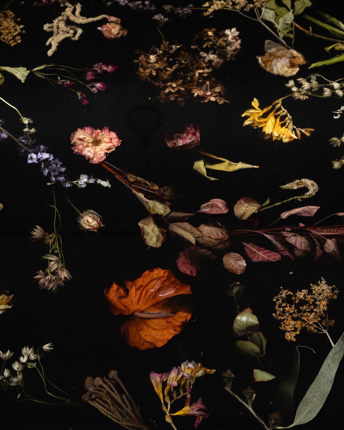 Flora_Coffee_Table_152_Rectangular_by_Marcin_Rusak_Studio_02.jpg