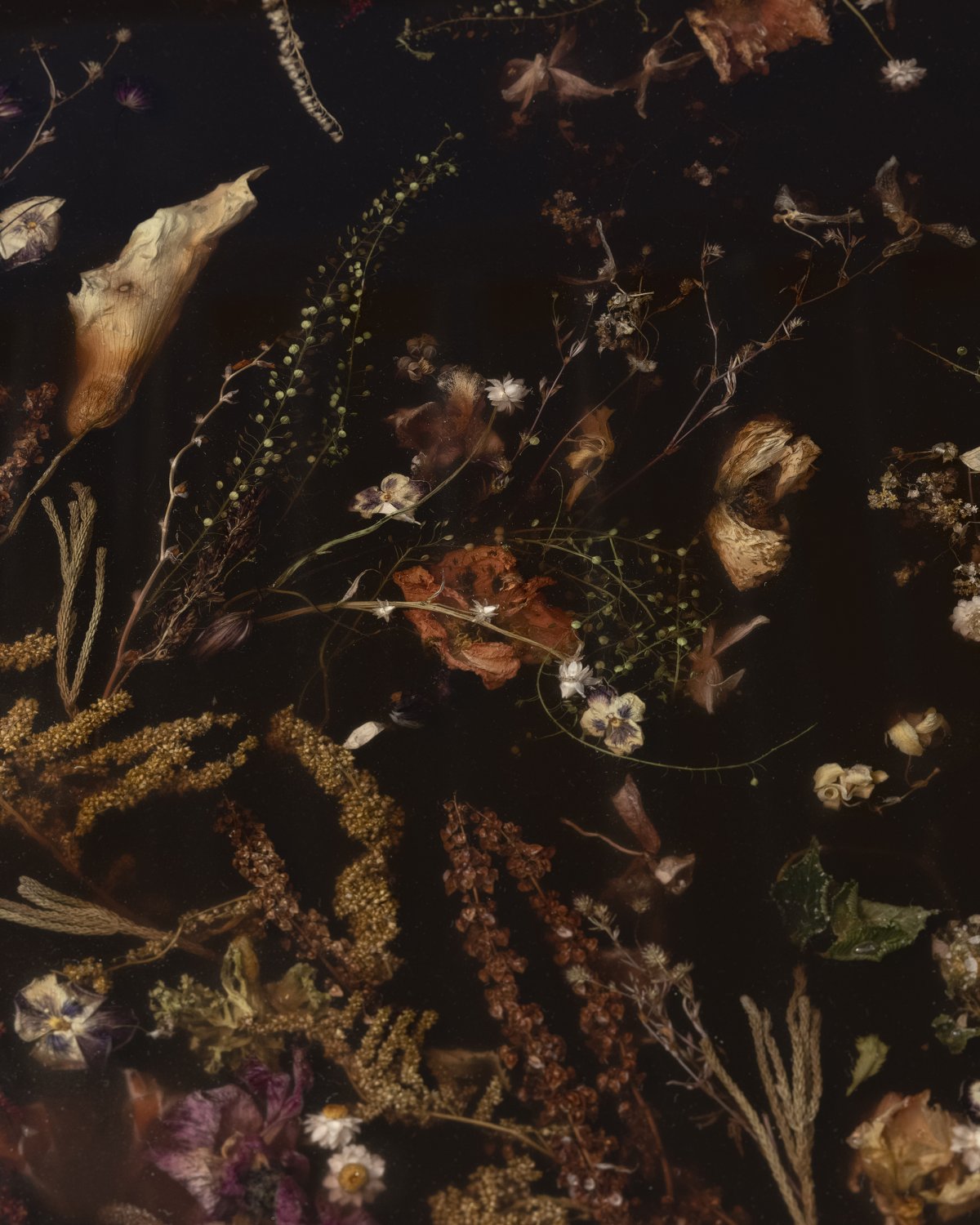 Flora_Coffee_Table_165_Rust_by_Marcin_Rusak_Studio_03.jpg