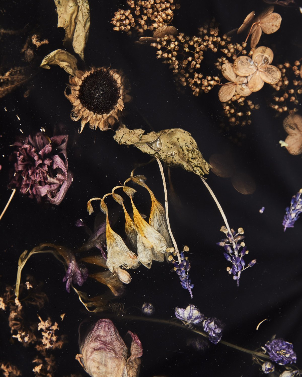 Flora_Coffee_Table_II_Brass_by_Marcin_Rusak_Studio_05.jpg