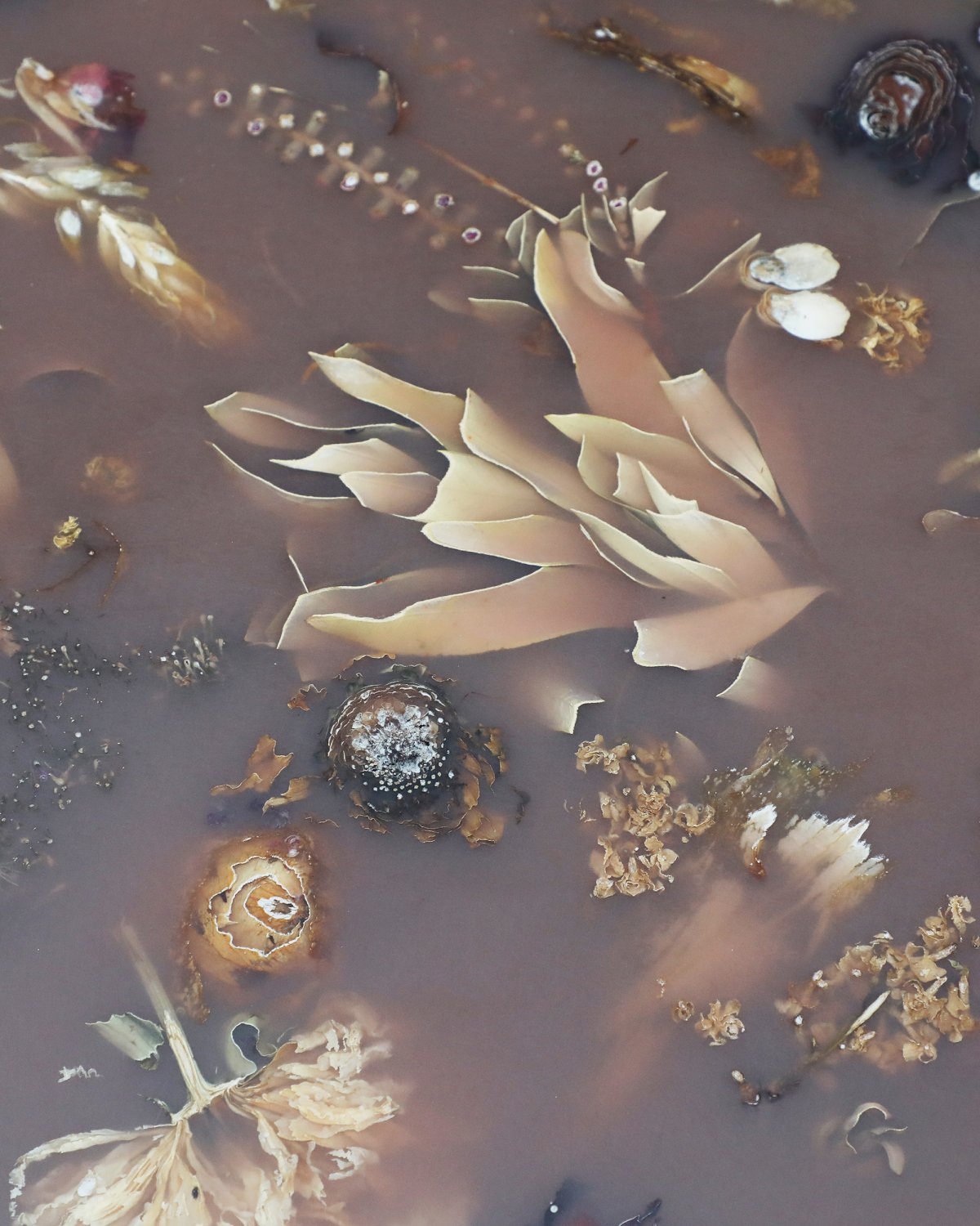 Flora_Coffee_Table_II_Bronze_by_Marcin_Rusak_Studio_05.jpg