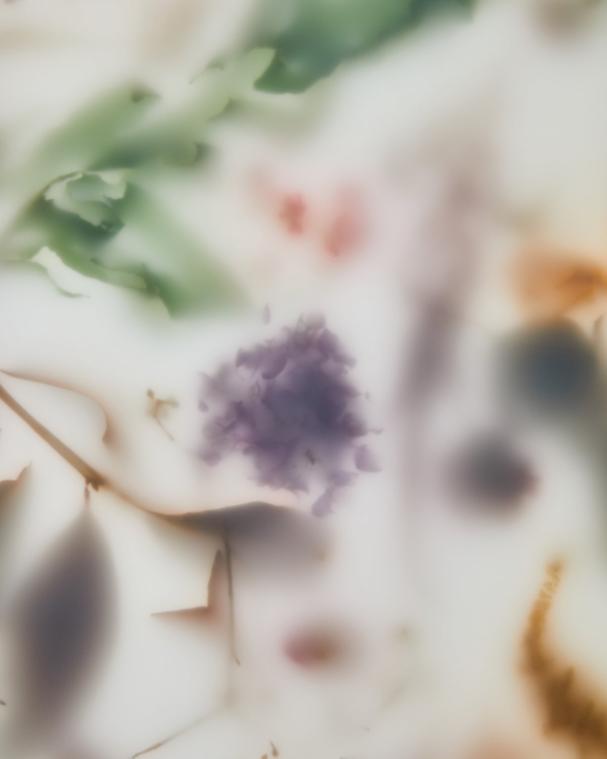 Flora_Credenza_152_Misty_White_by_Marcin_Rusak_Studio_05.jpg