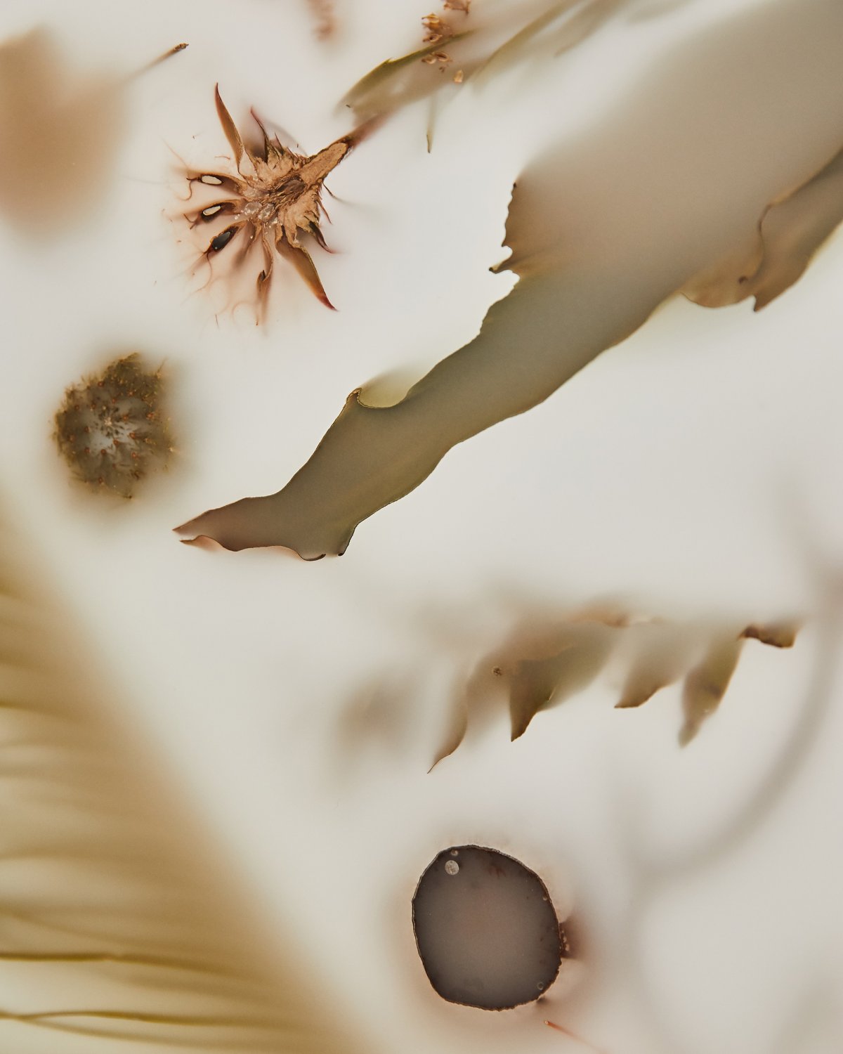 Flora_Credenza_152_Pair_by_Marcin_Rusak_Studio_03.jpg