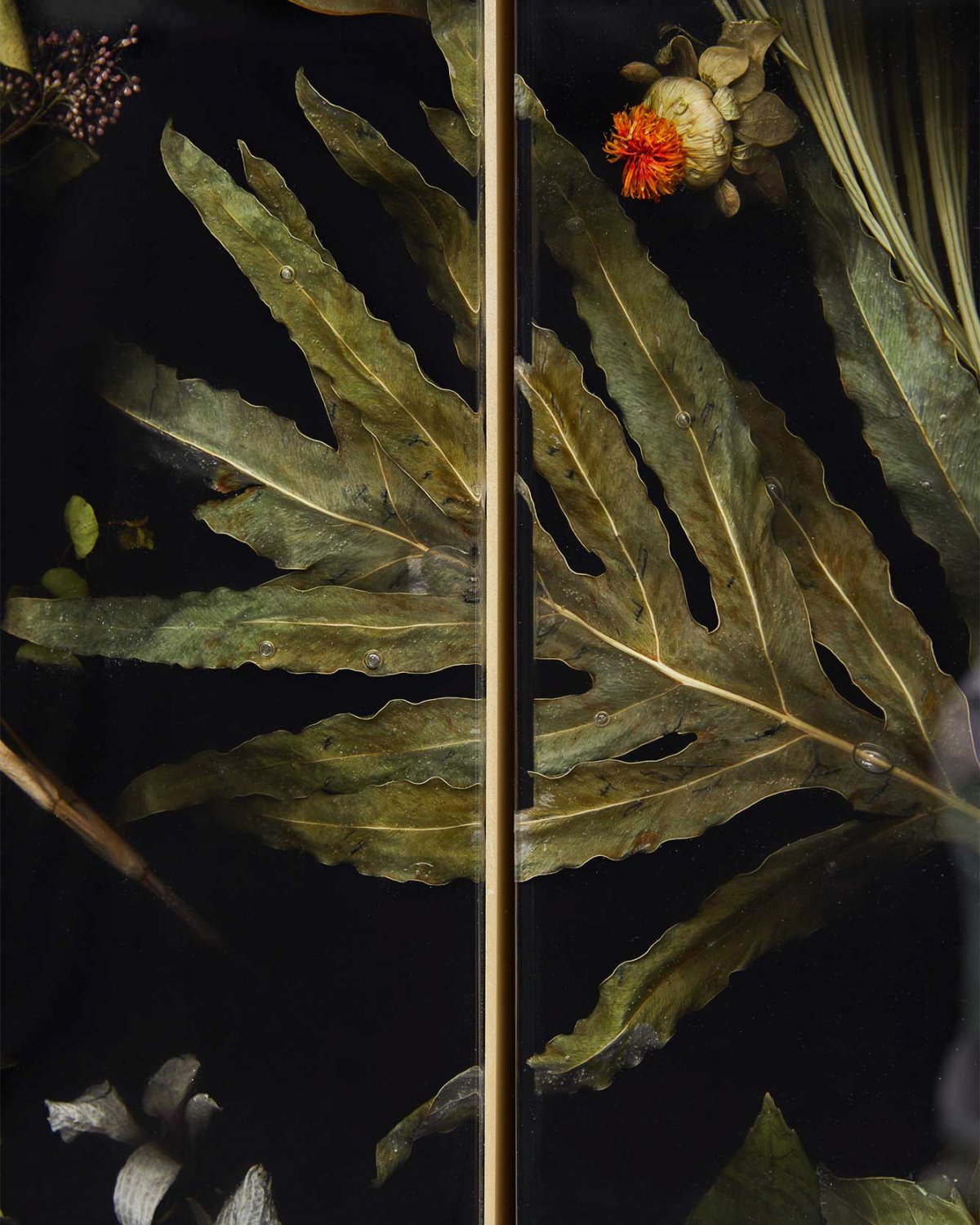 Flora_Credenza_172_Brass_by_Marcin_Rusak_Studio_03.jpg