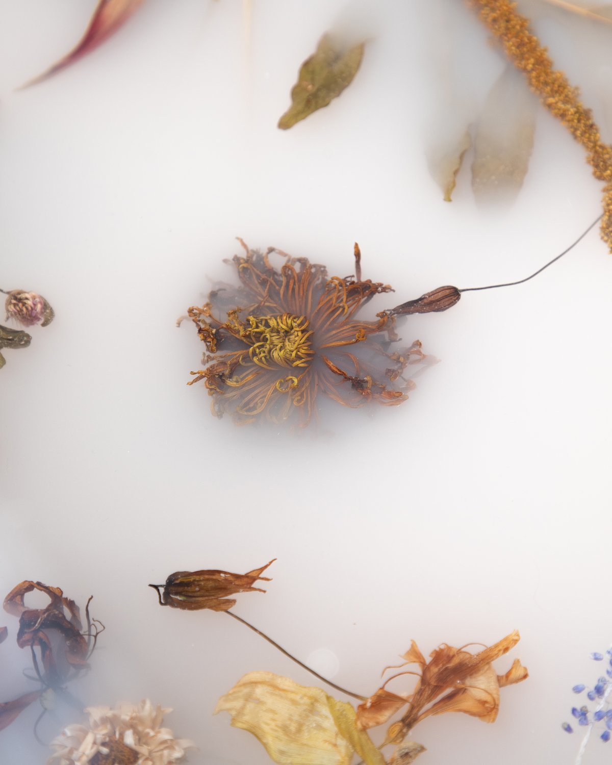 Flora_Credenza_276_Oak_by_Marcin_Rusak_Studio_03.jpg