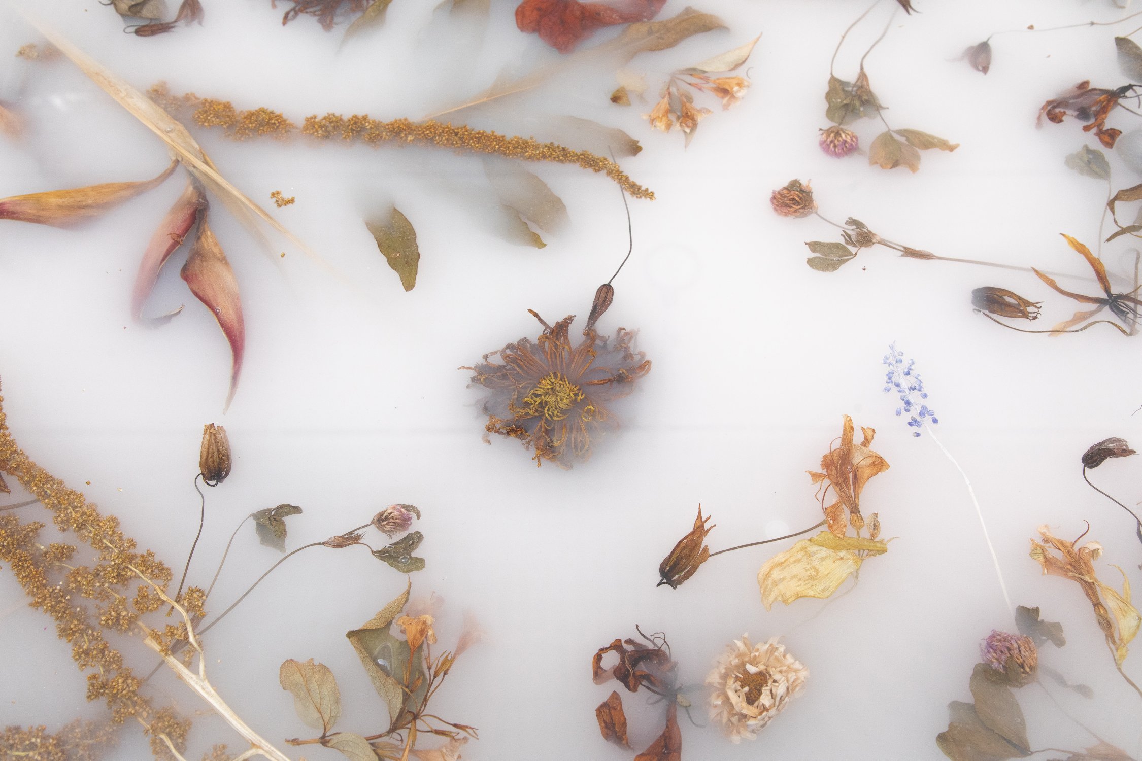 Flora_Credenza_276_Oak_by_Marcin_Rusak_Studio_07.jpg