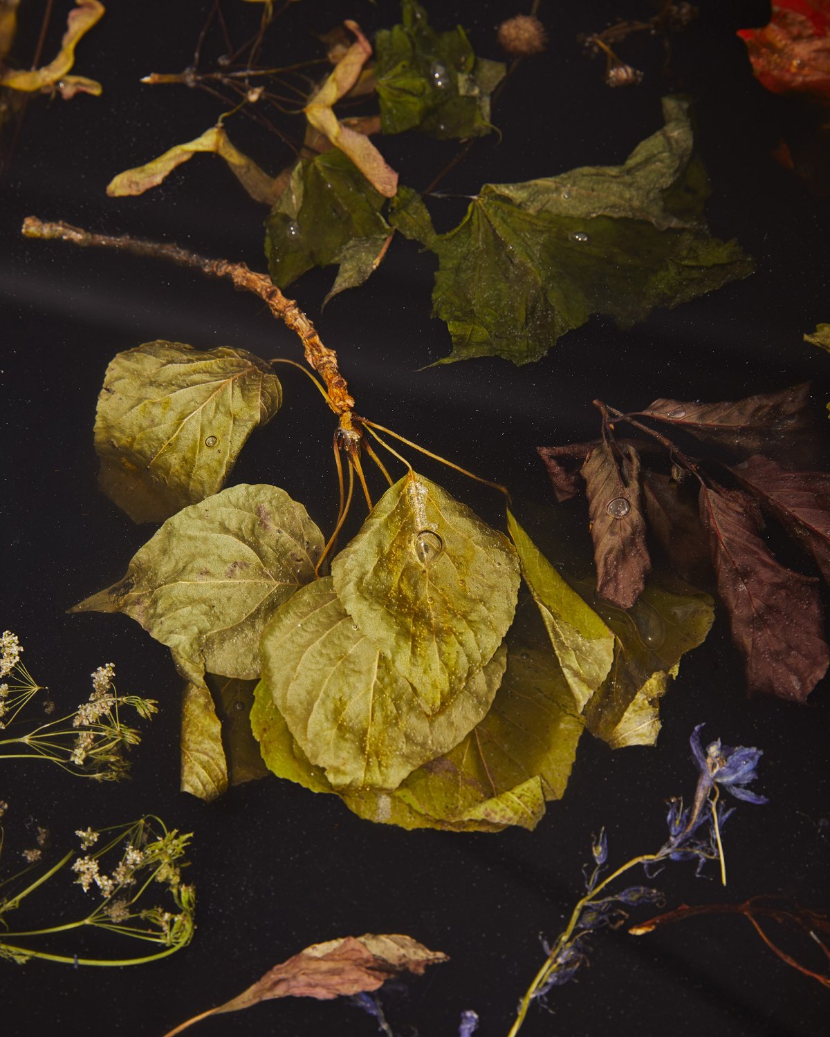 Flora_Hyde_Park_Coffee_Table_172_by_Marcin_Rusak_Studio_04.jpg