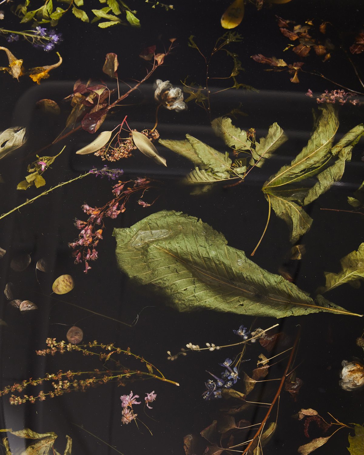 Flora_Hyde_Park_Coffee_Table_172_by_Marcin_Rusak_Studio_06.jpg