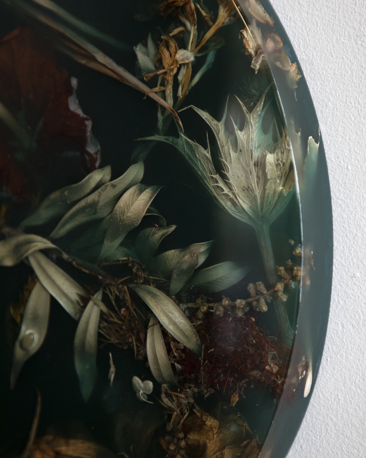 Flora_Lens_40_Brunswick_Green_by_Marcin_Rusak_Studio_03.jpg