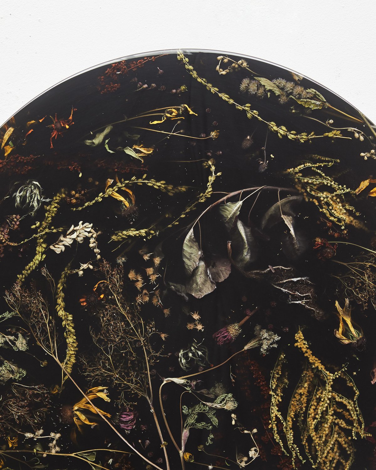 Flora_Lens_65_Black_II_by_Marcin_Rusak_Studio_02.jpg