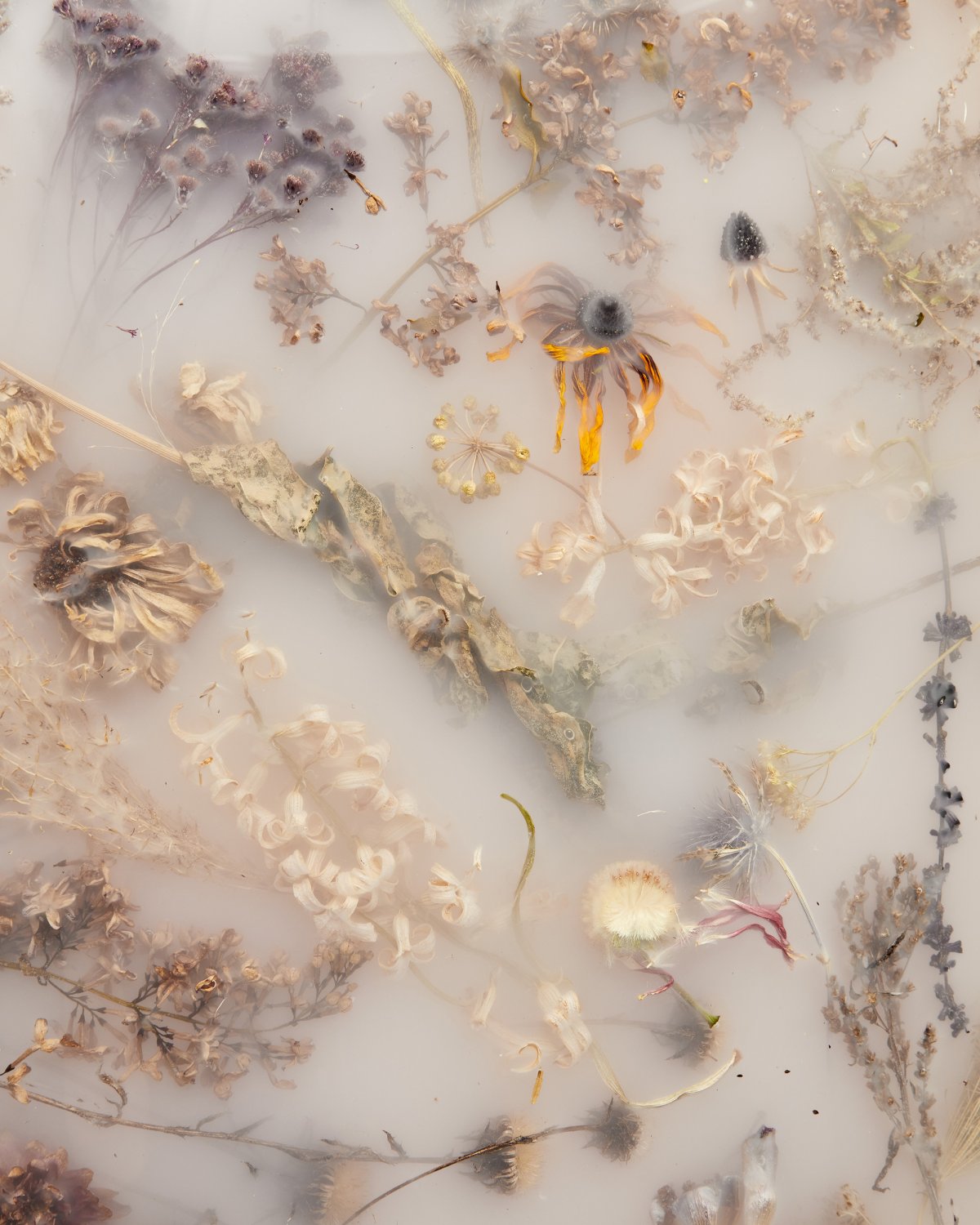 Flora_Lens_65_Misty_White_by_Marcin_Rusak_Studio_06.jpg