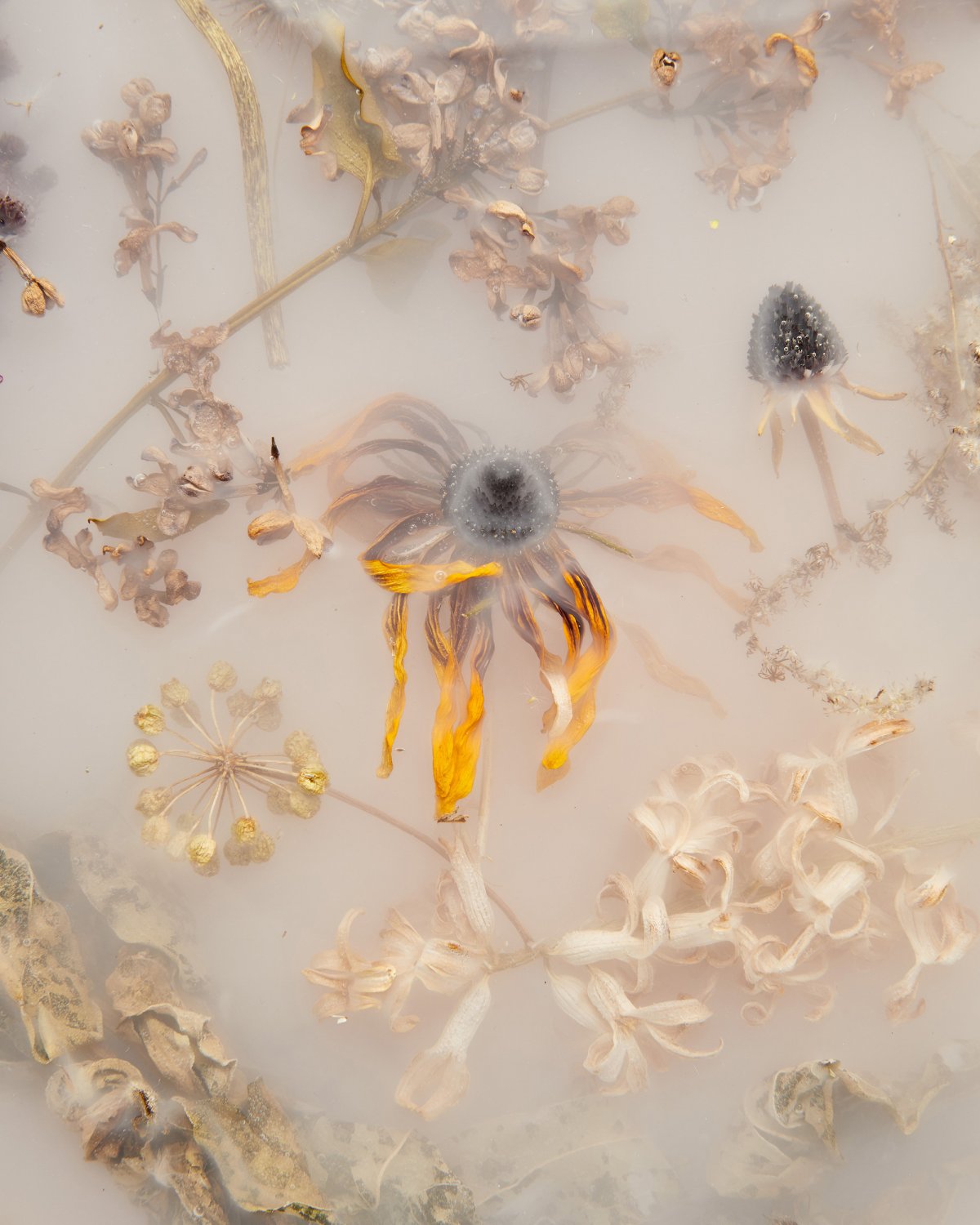 Flora_Lens_65_Misty_White_by_Marcin_Rusak_Studio_08.jpg