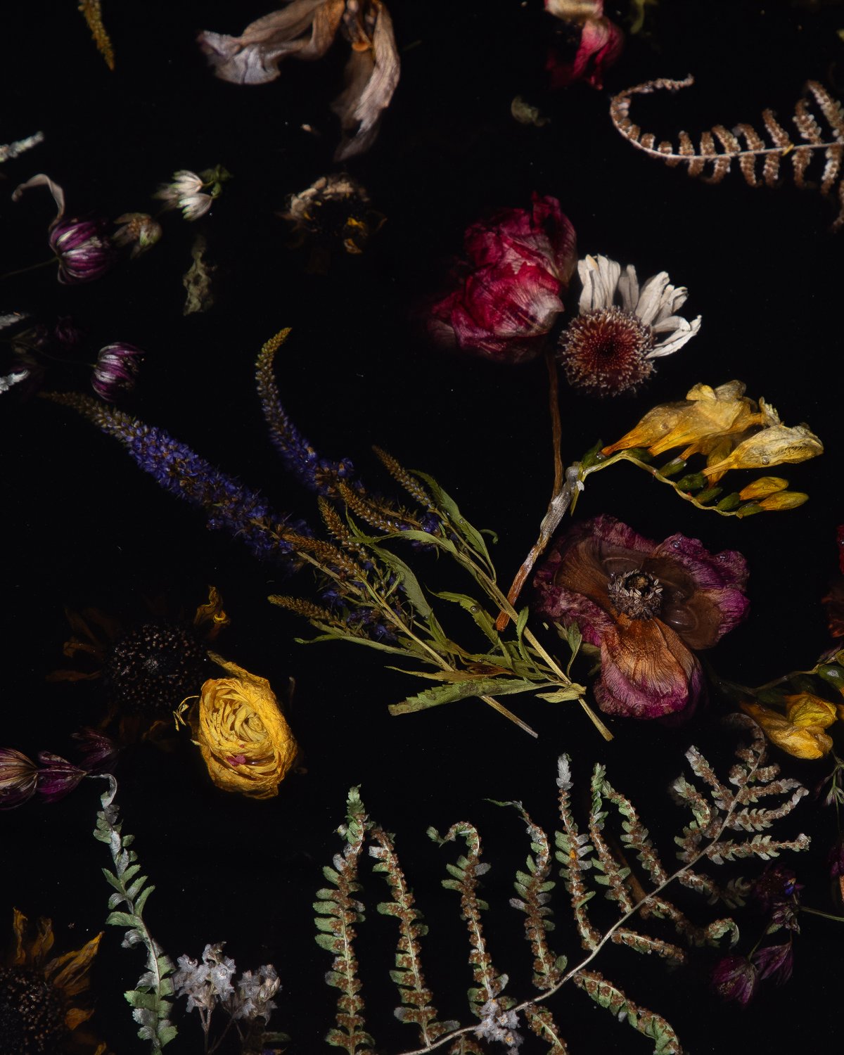Flora_Low_Coffee_Table_132_by_Marcin_Rusak_Studio_04.jpg