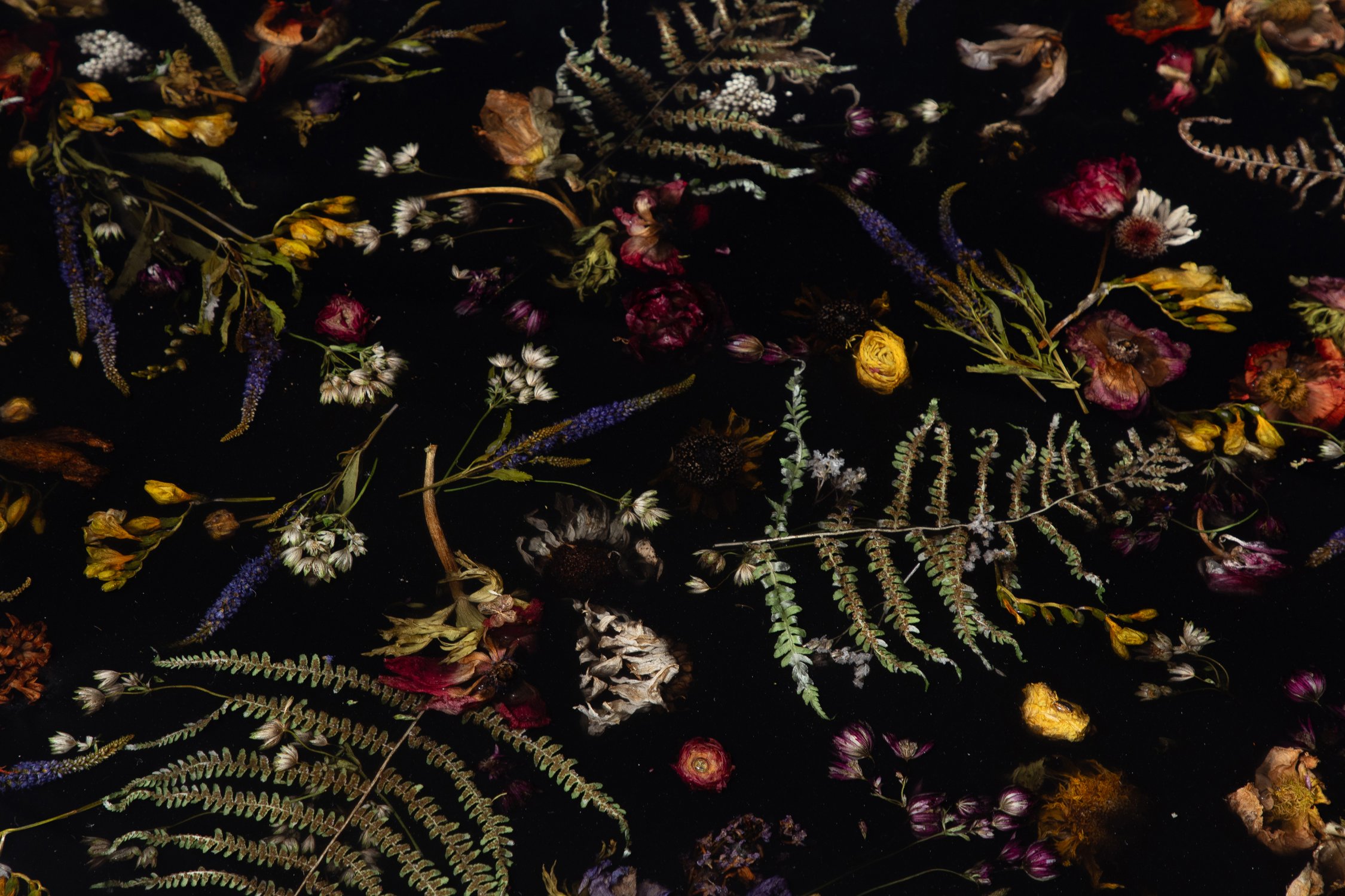 Flora_Low_Coffee_Table_132_by_Marcin_Rusak_Studio_05.jpg