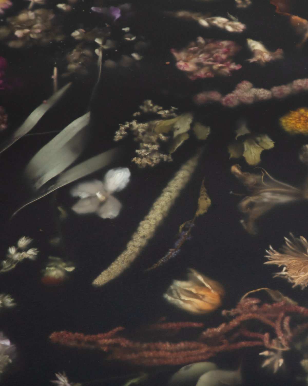 Flora_Low_Coffee_Table_165_Matte_by_Marcin_Rusak_Studio_03.jpg