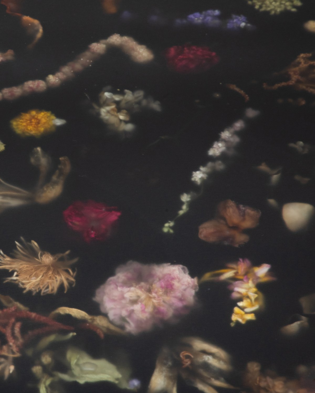 Flora_Low_Coffee_Table_165_Matte_by_Marcin_Rusak_Studio_05.jpg
