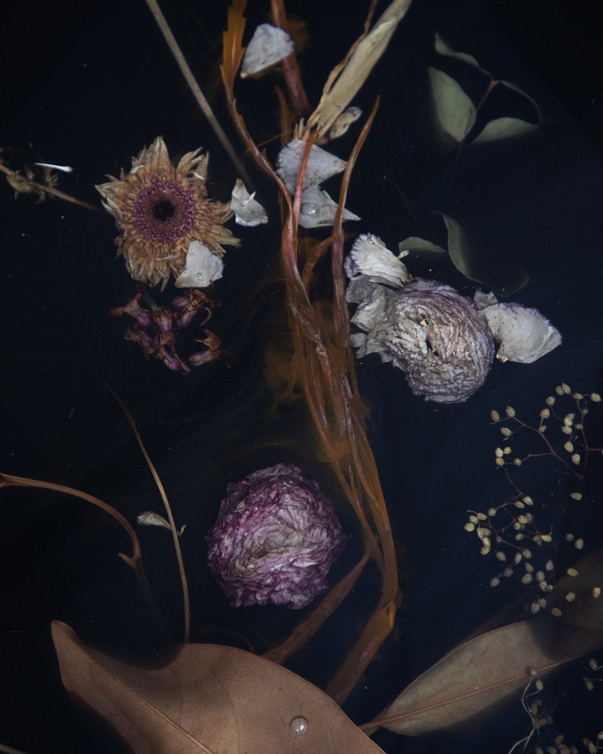 Flora_Low_Coffee_Table_218_Rectangular_by_Marcin_Rusak_Studio_03.jpg