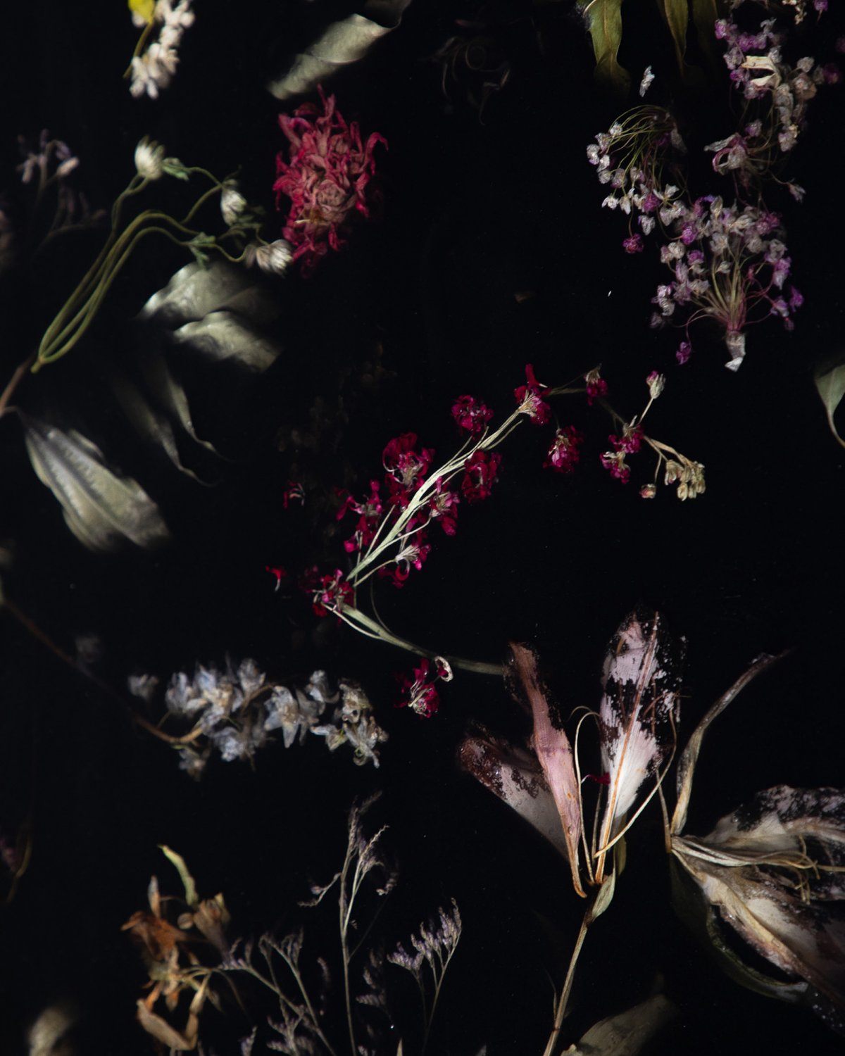 Flora_Low_Coffee_Table_218_by_Marcin_Rusak_Studio_06.jpg