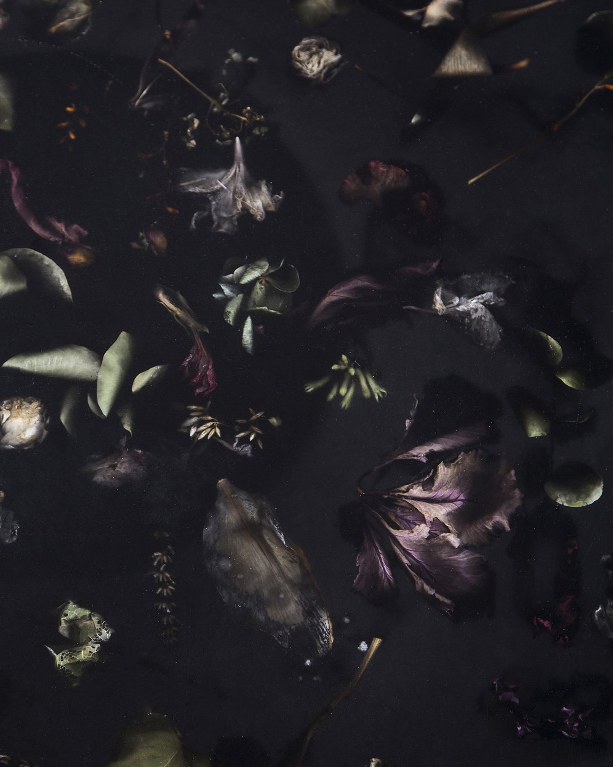 Flora_Low_Coffee_Table_I_by_Marcin_Rusak_Studio_02.jpg