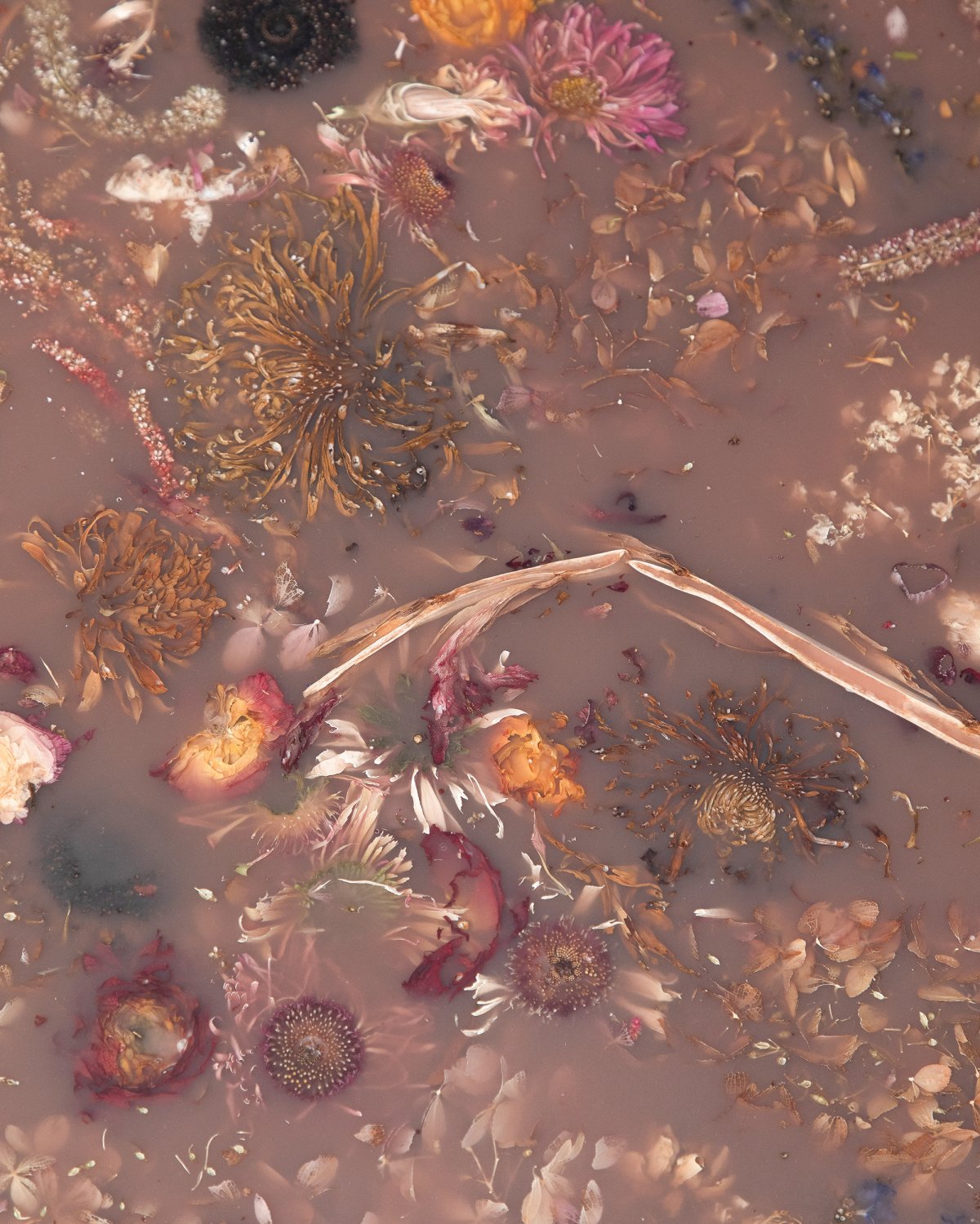 Flora_Perma_Rust_Low_Coffee_Table_137_by_Marcin_Rusak_Studio_03.jpg