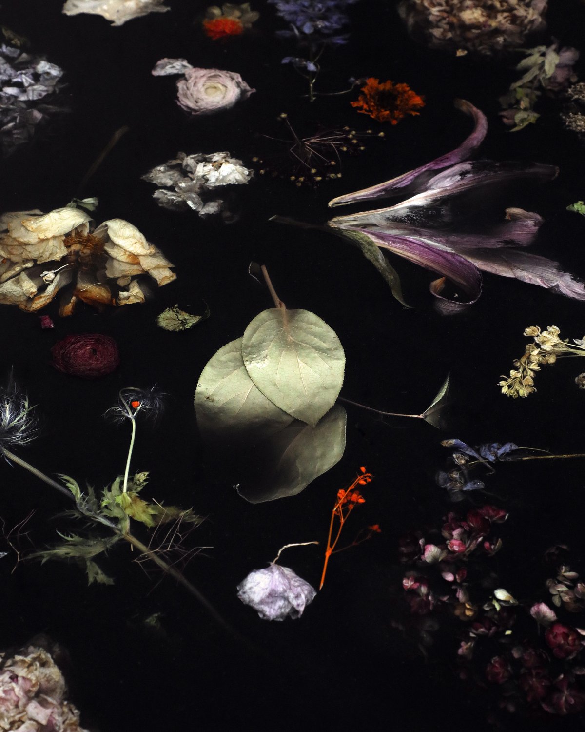 Flora_Table_114_by_Marcin_Rusak_Studio_05.jpg