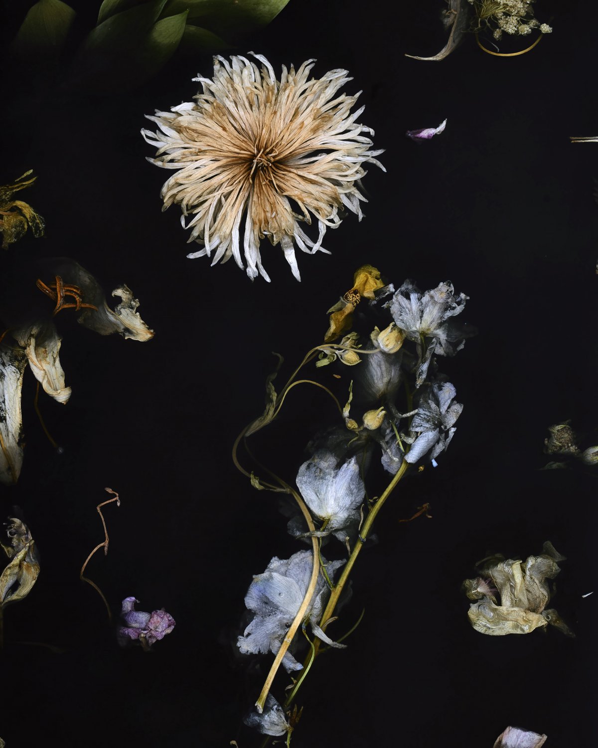 Flora_Table_190_by_Marcin_Rusak_Studio_05.jpg