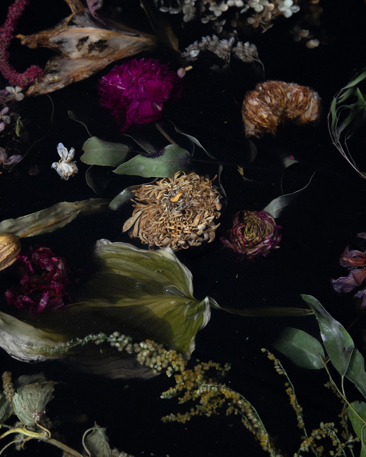 Flora_Table_250_Black_by_Marcin_Rusak_Studio_03.jpg