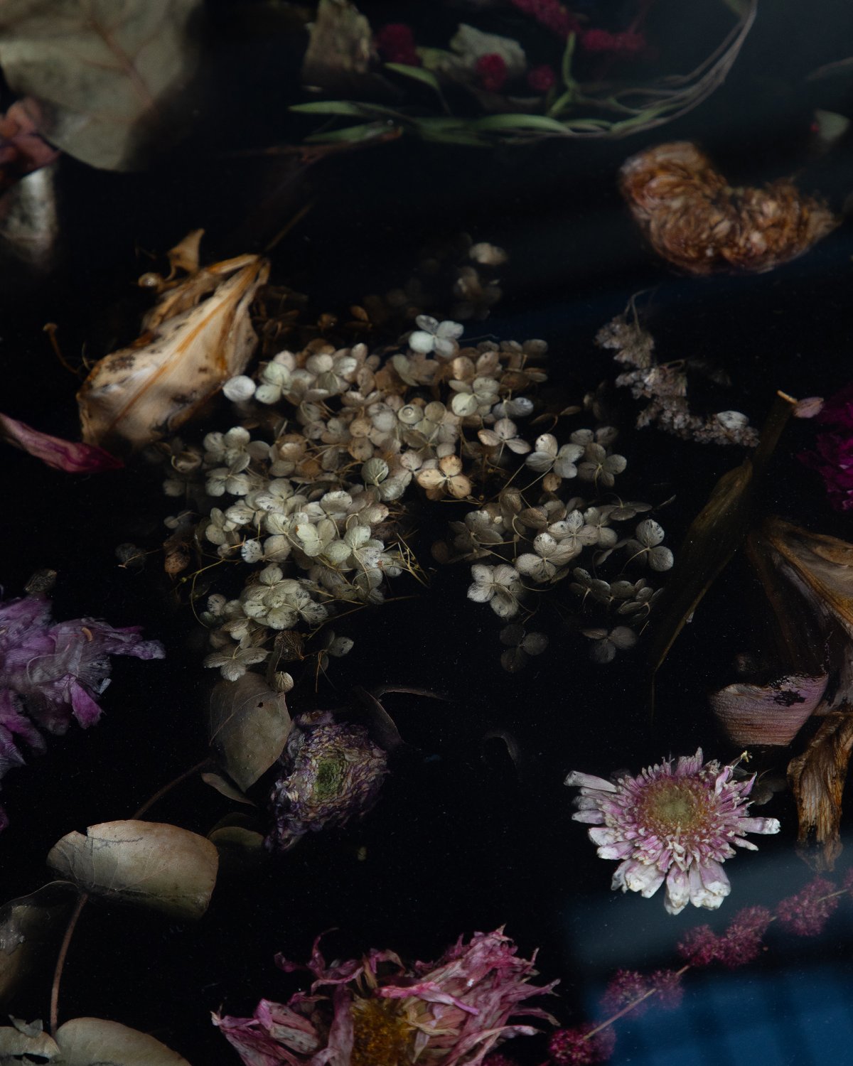 Flora_Table_250_Black_by_Marcin_Rusak_Studio_06.jpg