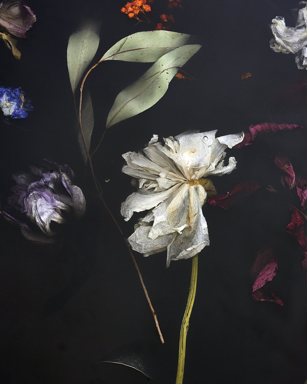 Flora_Table_274_by_Marcin_Rusak_Studio_04.jpg