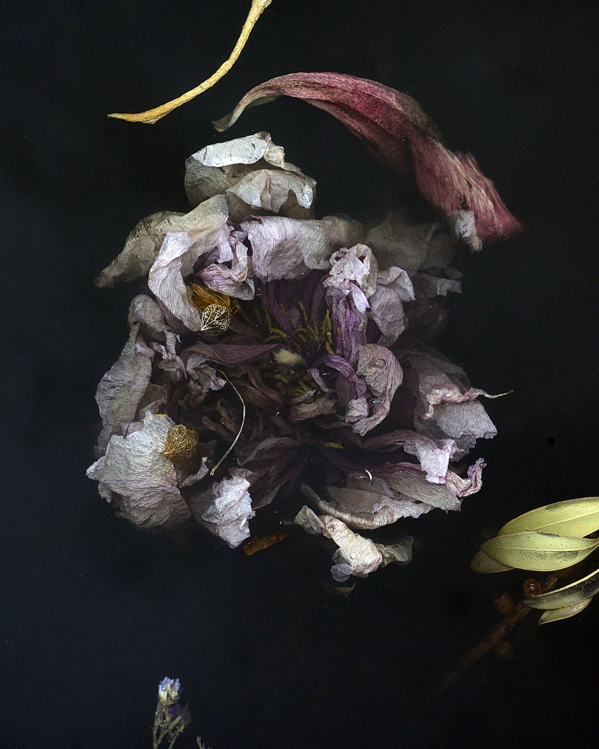 Flora_Table_274_by_Marcin_Rusak_Studio_06.jpg