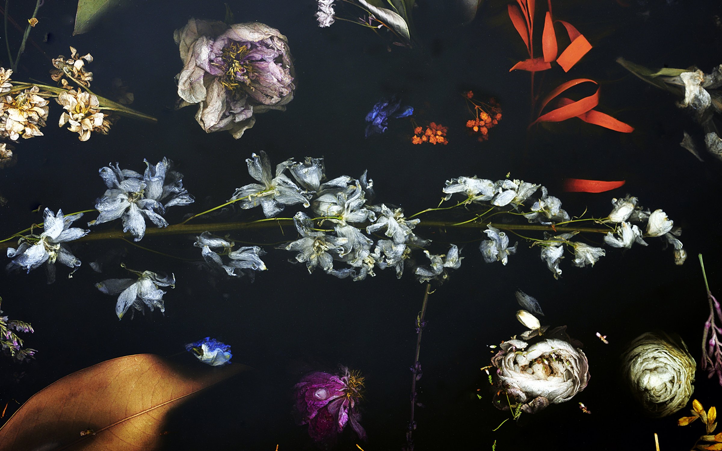 Flora_Table_274_by_Marcin_Rusak_Studio_07.jpg