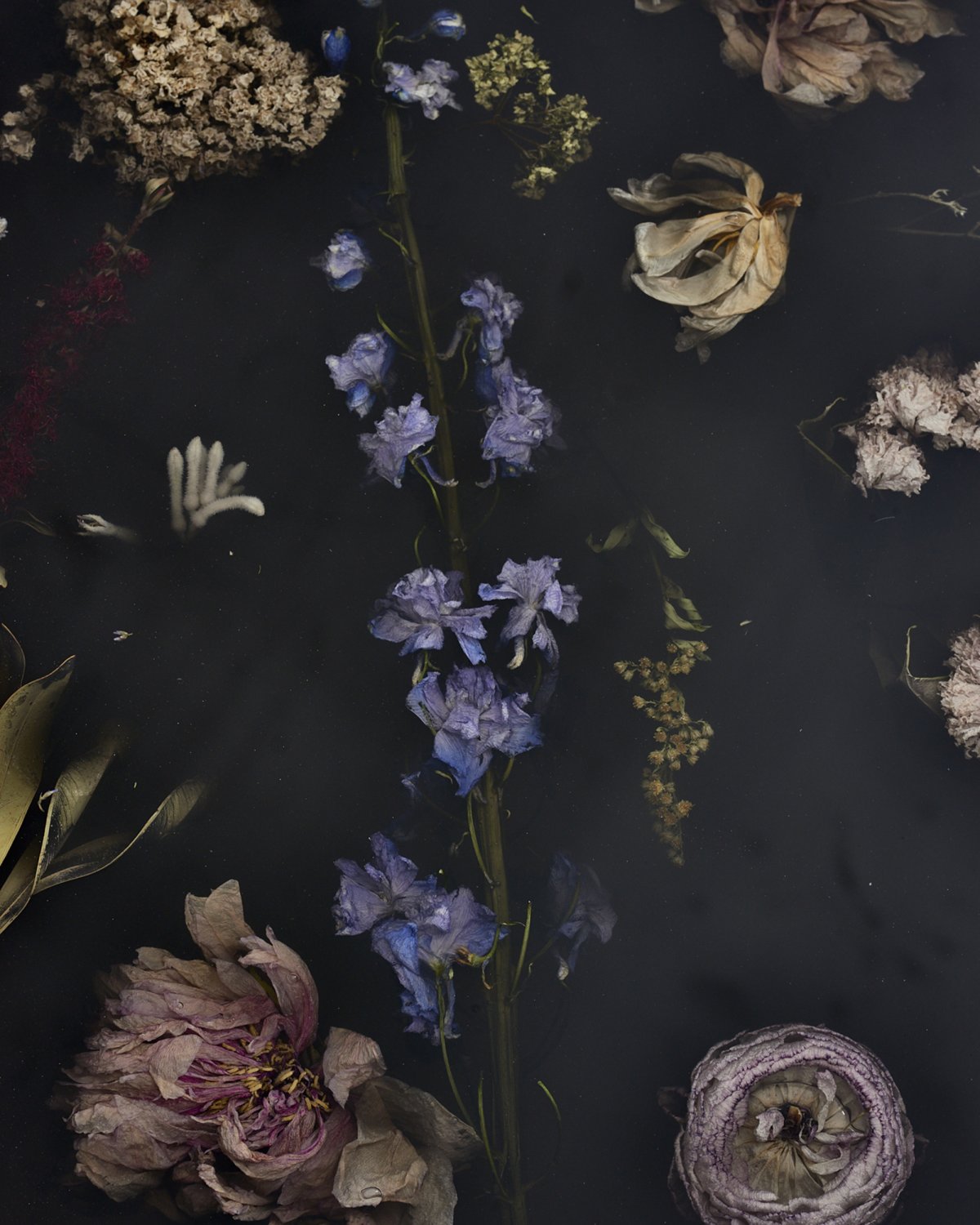Flora_Table_280_by_Marcin_Rusak_Studio_02.jpg