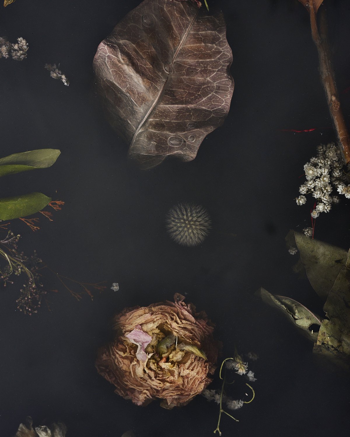 Flora_Table_280_by_Marcin_Rusak_Studio_06.jpg