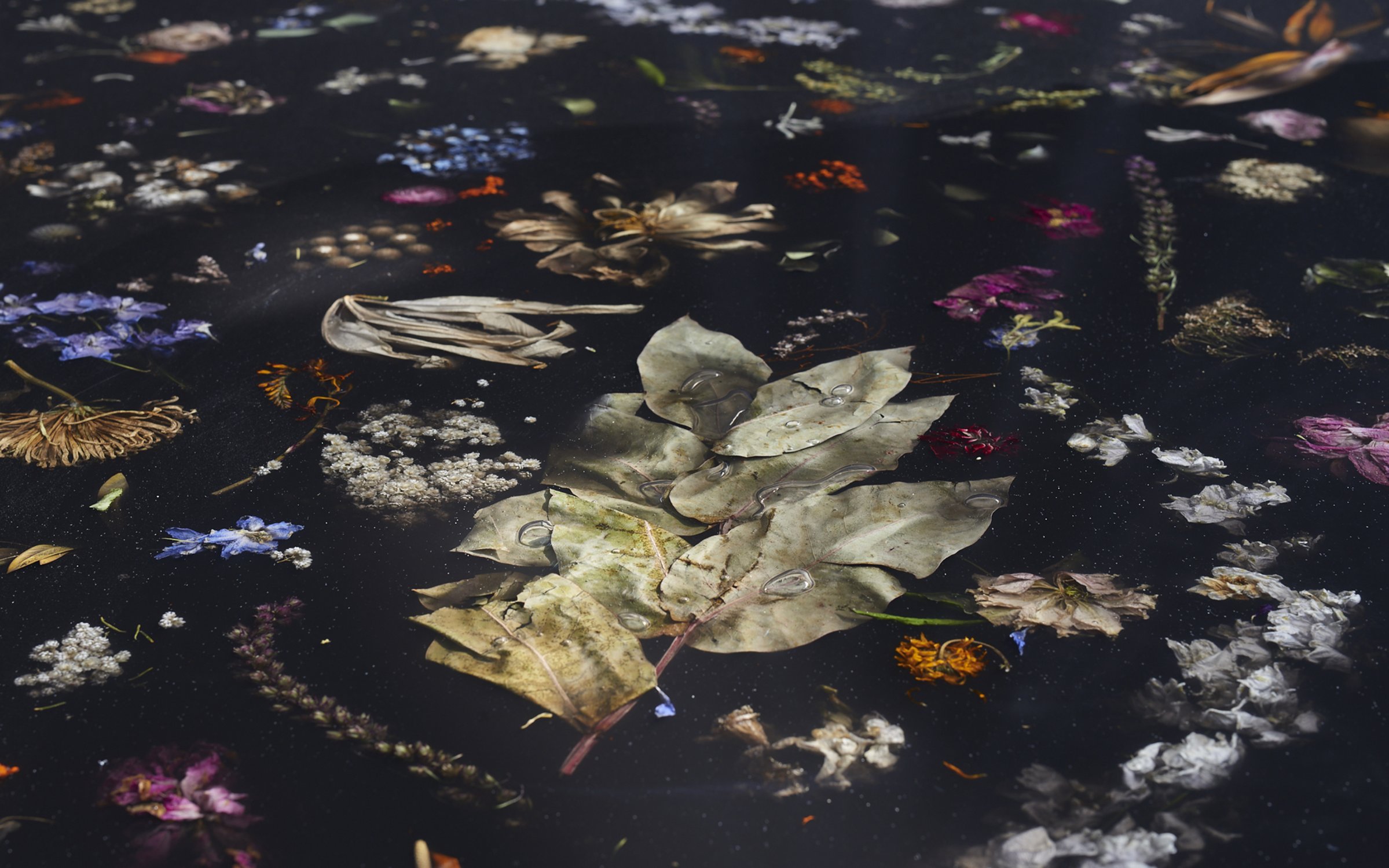 Flora_Table_280_by_Marcin_Rusak_Studio_07.jpg