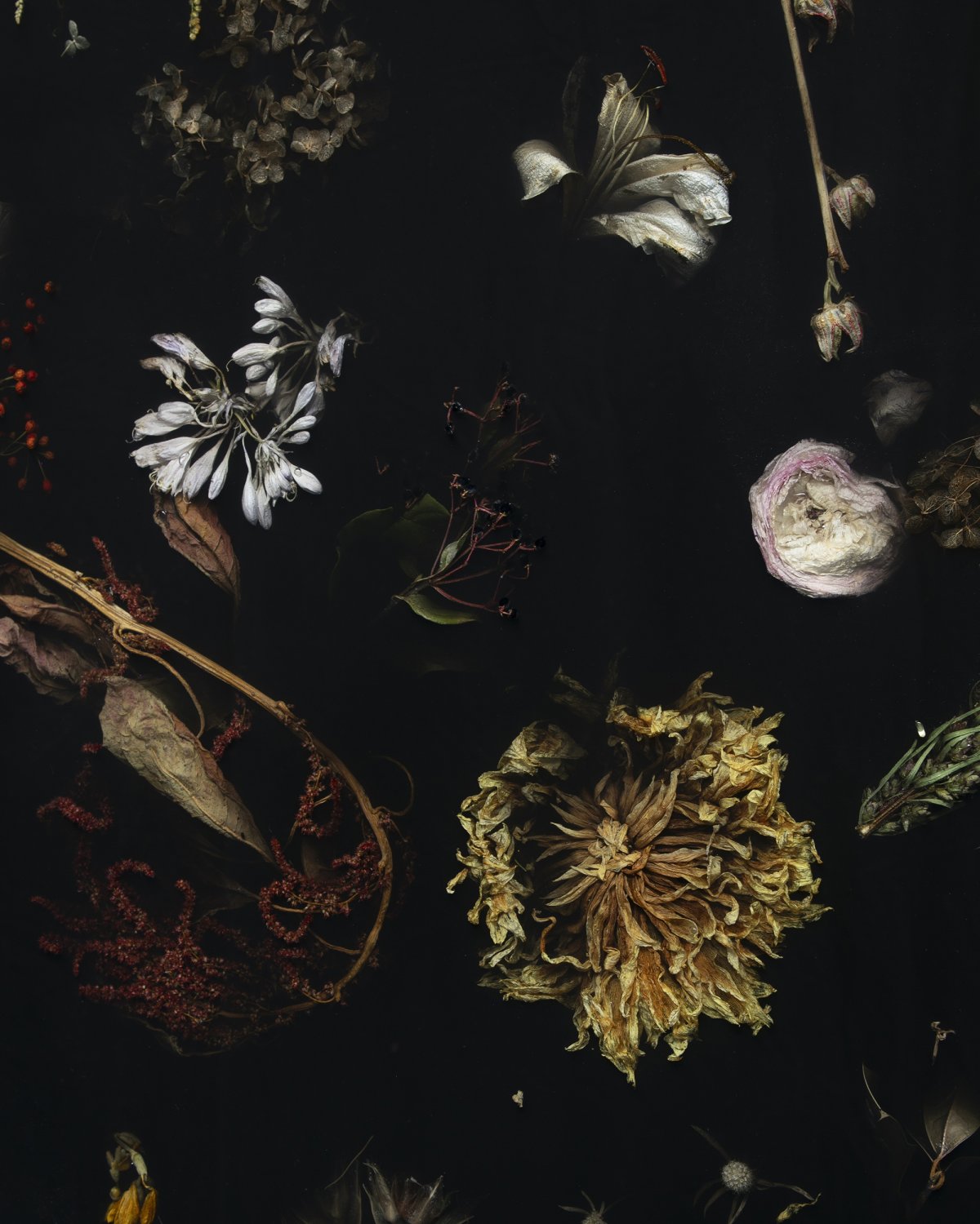 Flora_Wallhanging_Piece_160_by_Marcin_Rusak_Studio_02.jpg