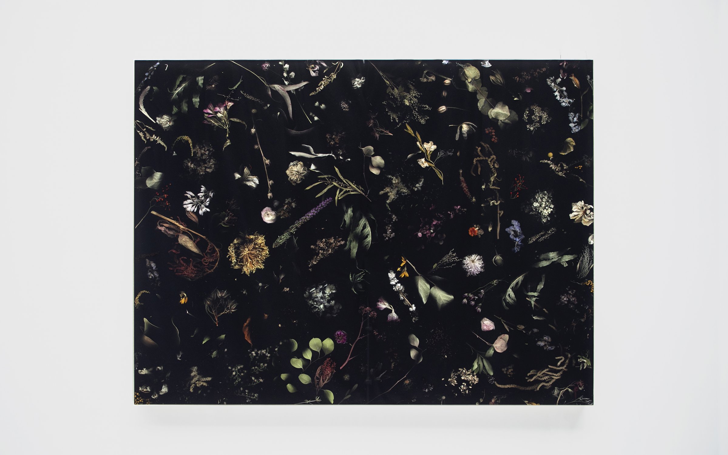 Flora_Wallhanging_Piece_160_by_Marcin_Rusak_Studio_04.jpg