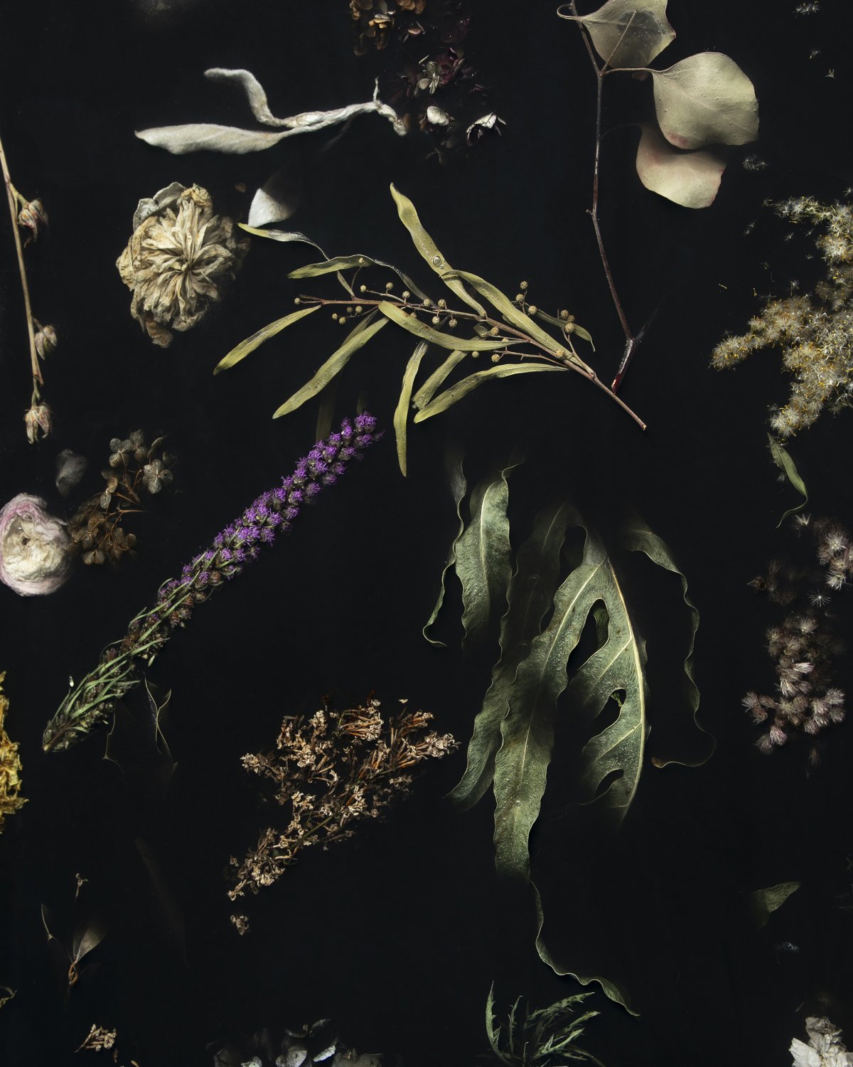 Flora_Wallhanging_Piece_160_by_Marcin_Rusak_Studio_06.jpg