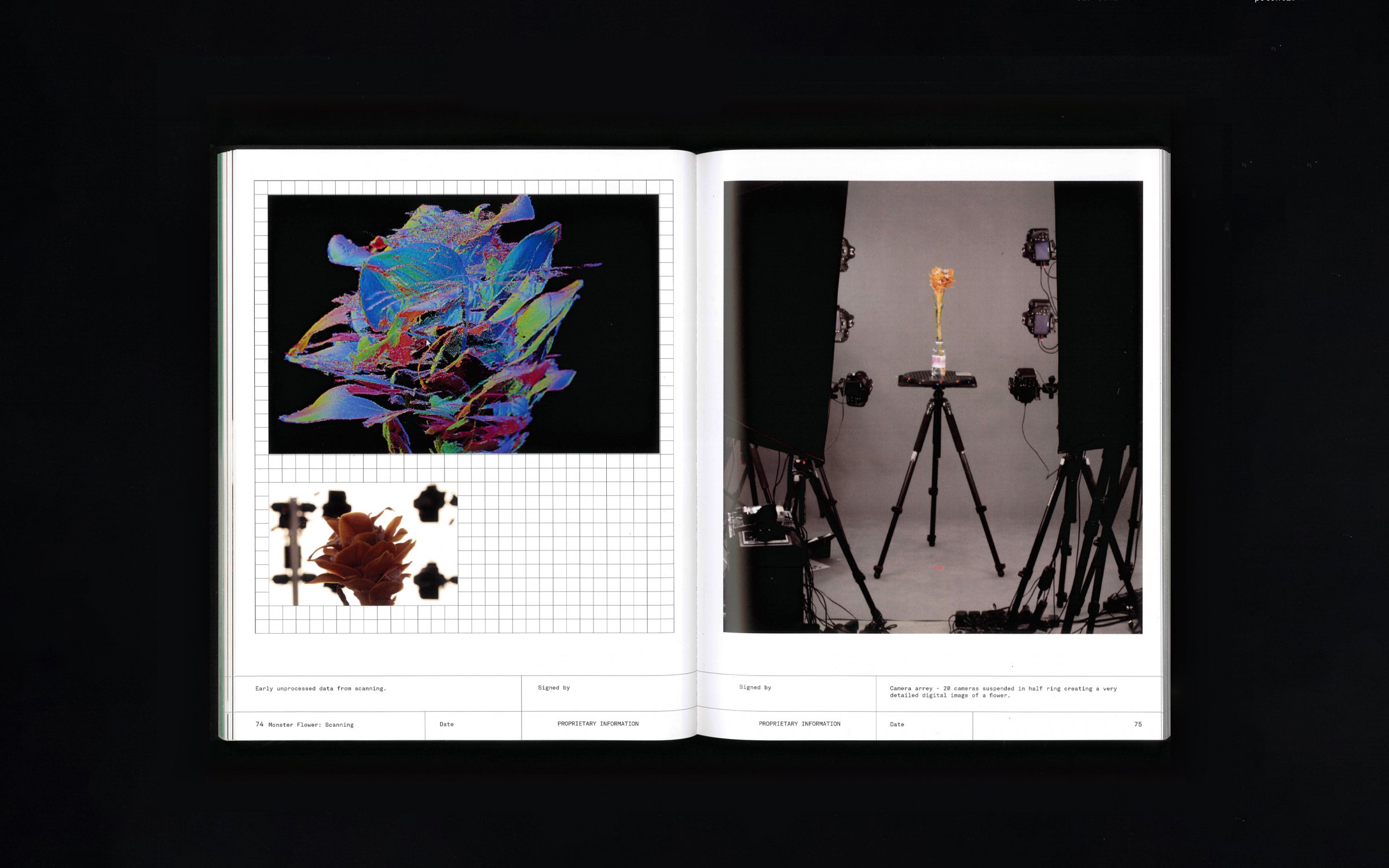 Flowering_Transition_Publication_by_Marcin_Rusak_Studio_09.jpg