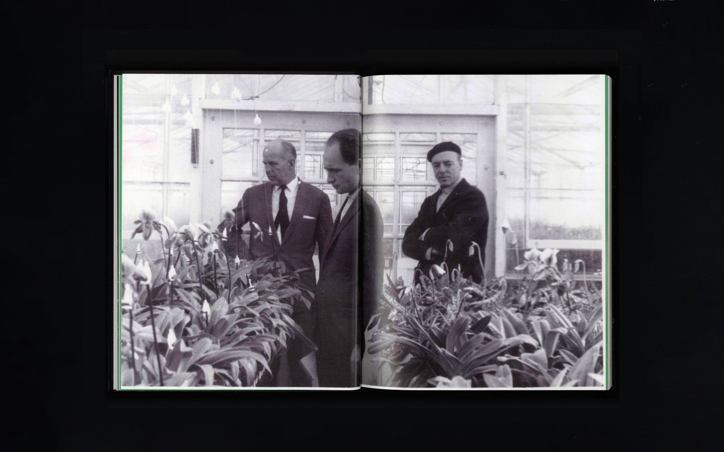 Flowering_Transition_Publication_by_Marcin_Rusak_Studio_10.jpg