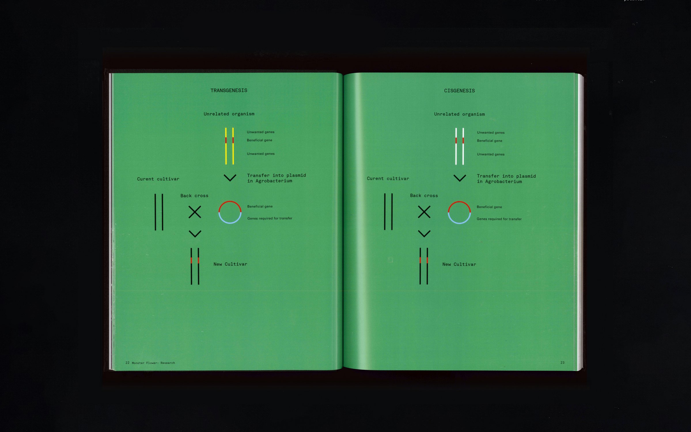 Flowering_Transition_Publication_by_Marcin_Rusak_Studio_11.jpg
